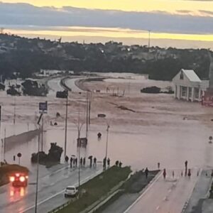 Foto: Havan/Divulgação 