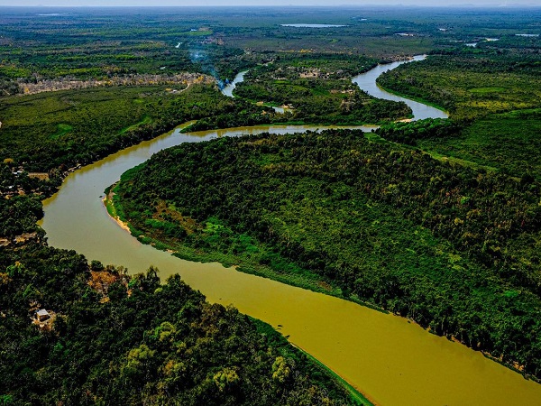 Entidades e personalidades assinam carta em defesa do Pantanal