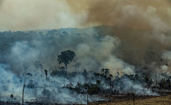 Queimadas atuais na Amazônia não são ‘padrão Califórnia’, diz Mourão
