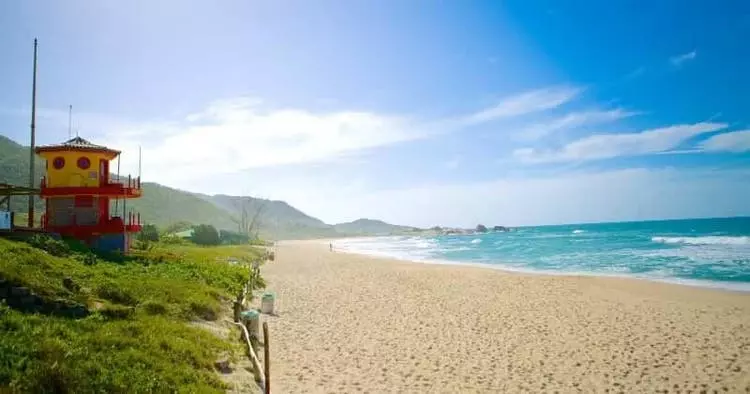 Praia Mole, em Florianópolis. Foto: Prefeitura de Florianópolis. Divulgação.