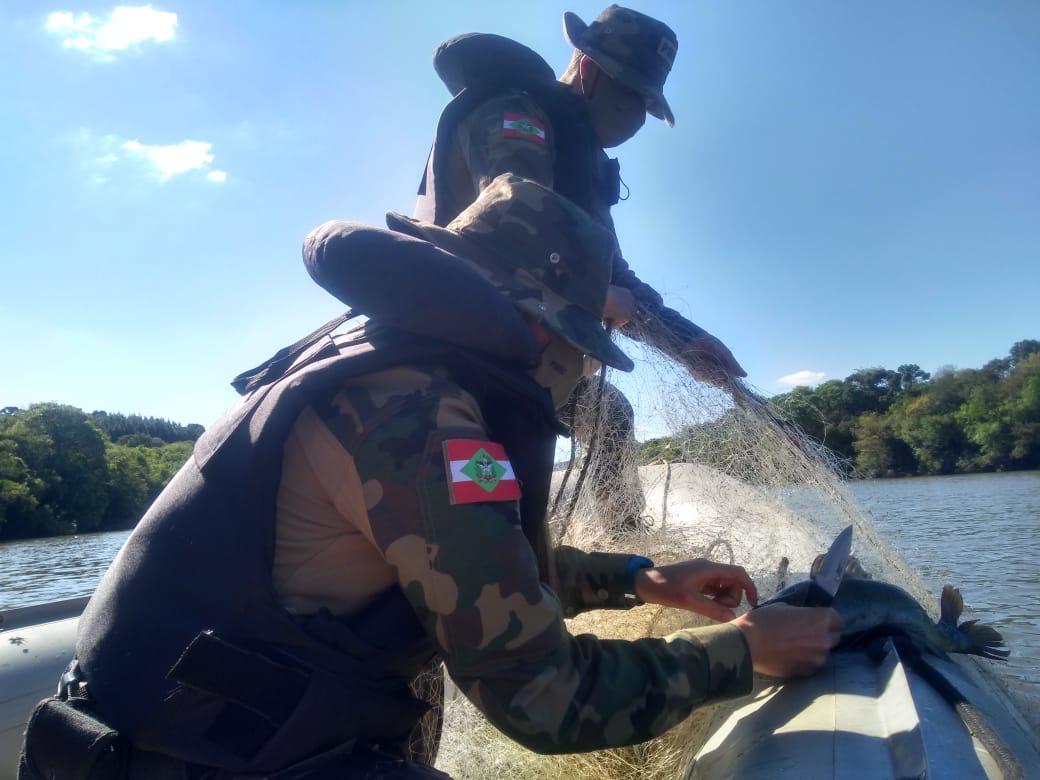 Foto: Divulgação, Polícia Militar Ambiental