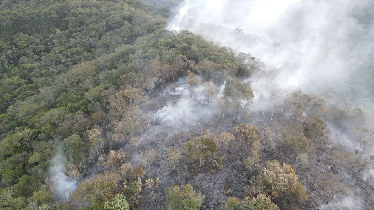 Incêndio atinge região florestal em Itajaí