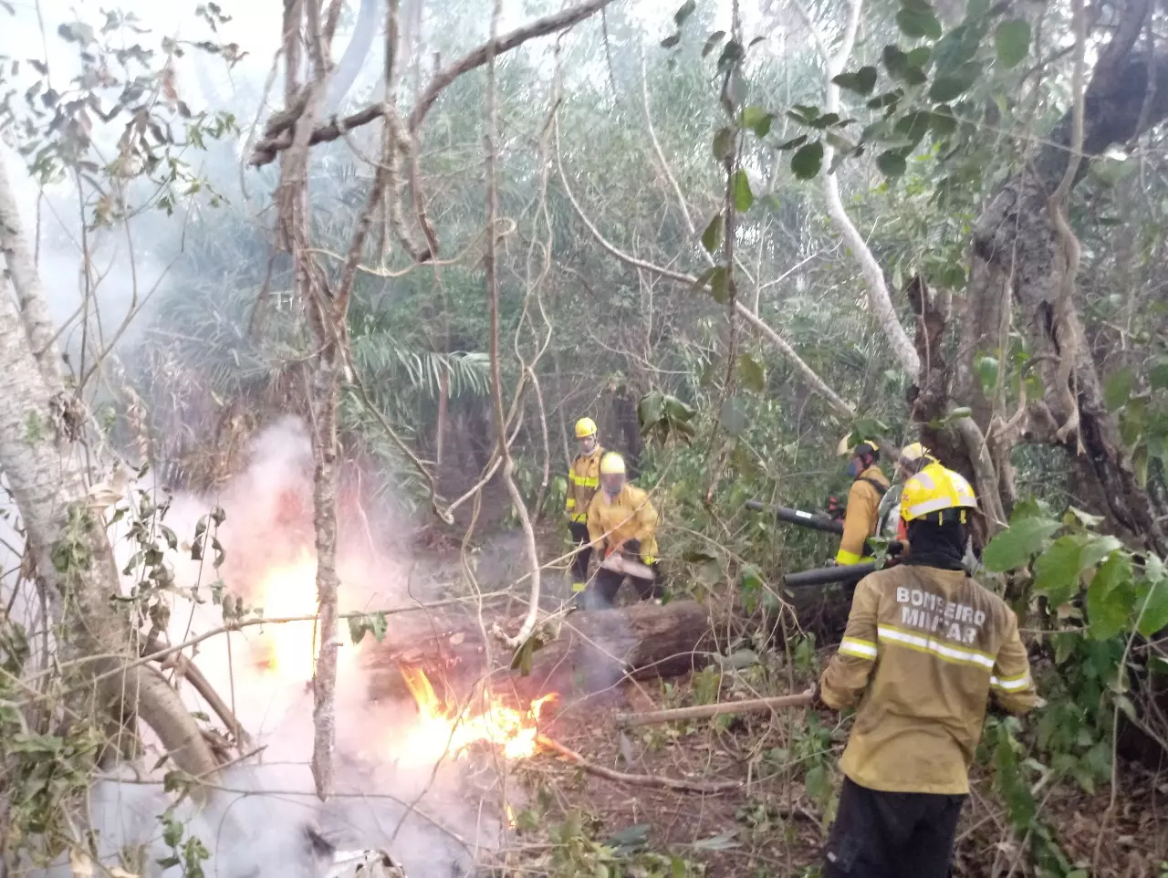 Foto: Bombeiros / Divulgação.