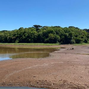 Lajeado São José (NOV 20). Foto Vanessa Presotto/ SCC SBT