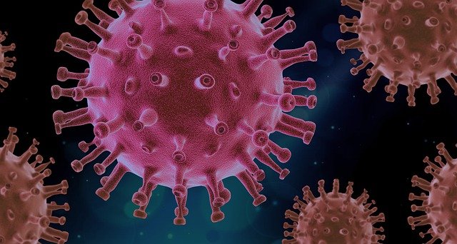 Nova variante: ao menos 11 países confirmam casos de infecção pela ômicron