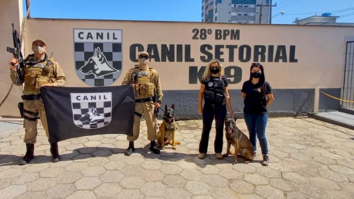 Foto: Polícia Militar, Divulgação