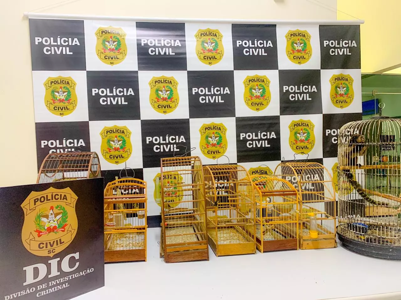 Foto: Divulgação Polícia Civil SC