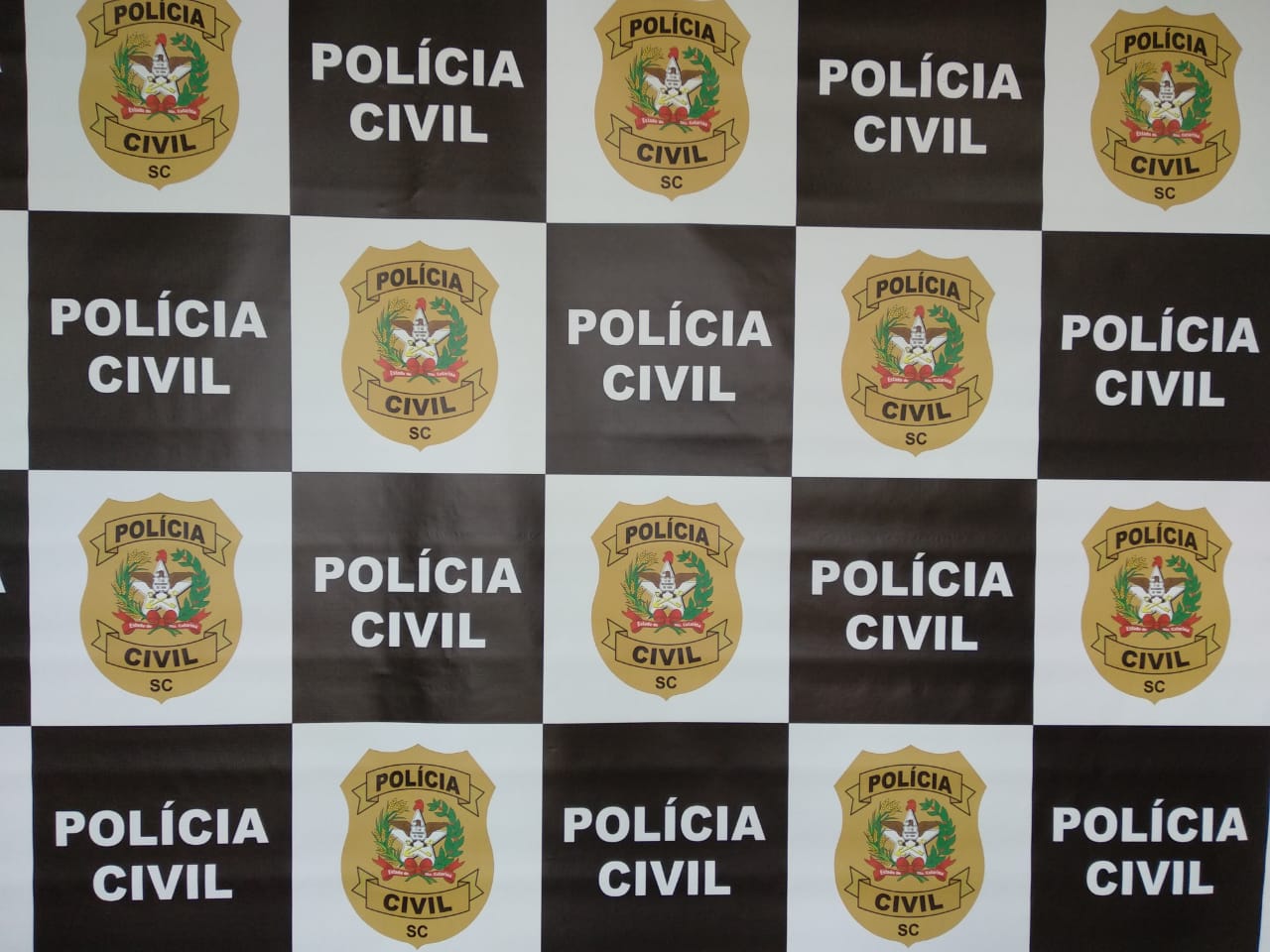 Foto: Polícia Civil | Divulgação