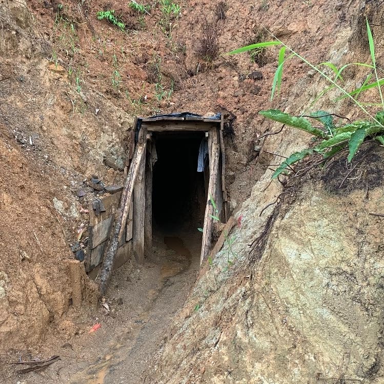 Foto: Divulgação, Polícia Militar Ambiental