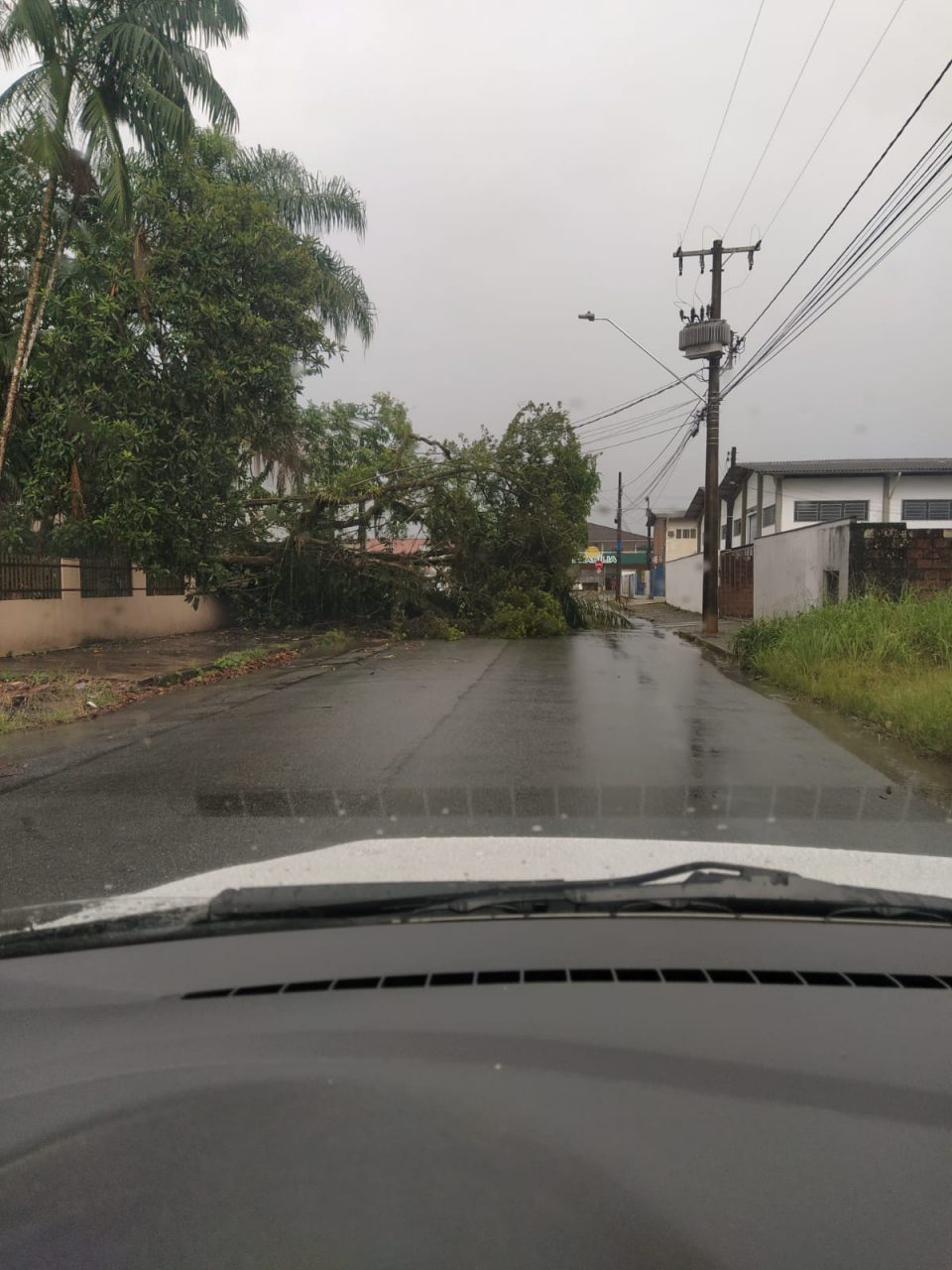 Chuva em Joinville 