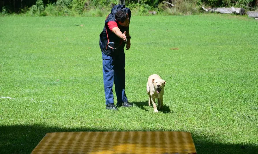 Foto: Soldado Eduardo De Souza