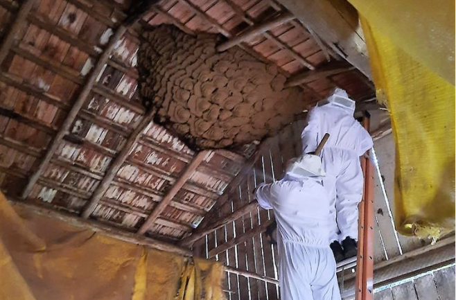 Foto: Corpo de Bombeiros, Divulgação