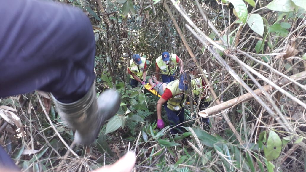 Jovem que estava desaparecida é resgatada em mata de Gaspar