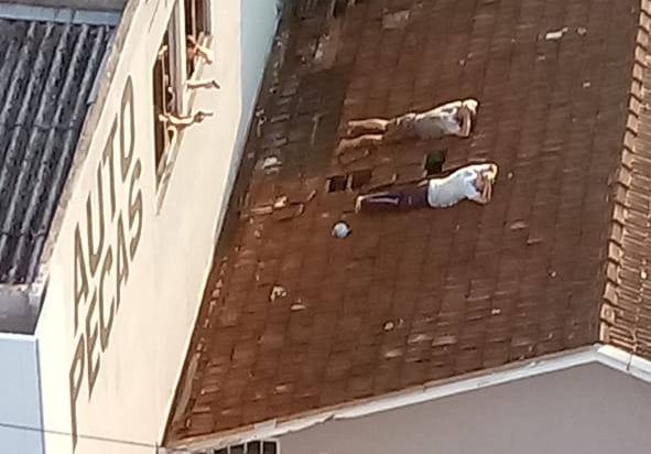 Foto: Divulgação, PMSC