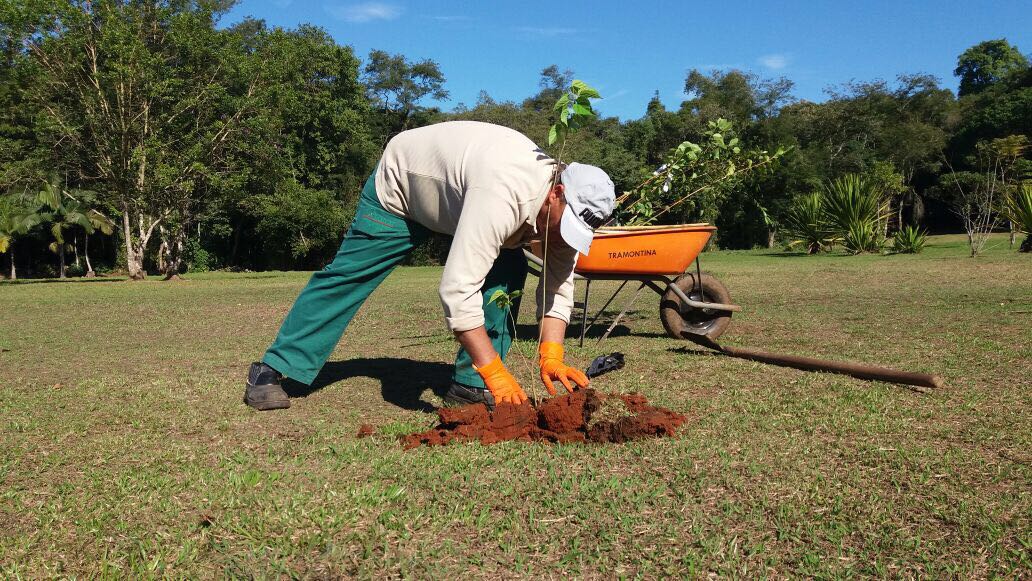 Foto: Prefeitura de Criciúma | Divulgação