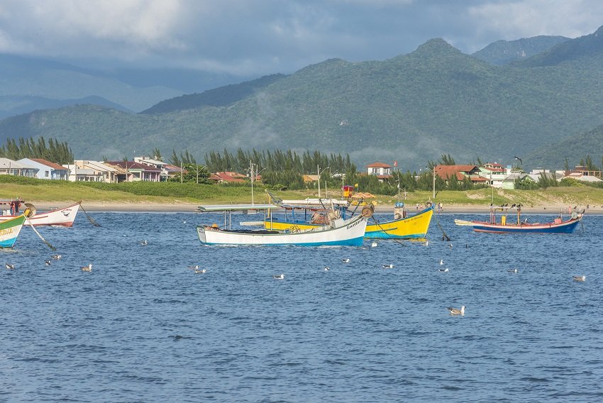 Foto: Mauro Goulart | Prefeitura de Florianópolis | Divulgação