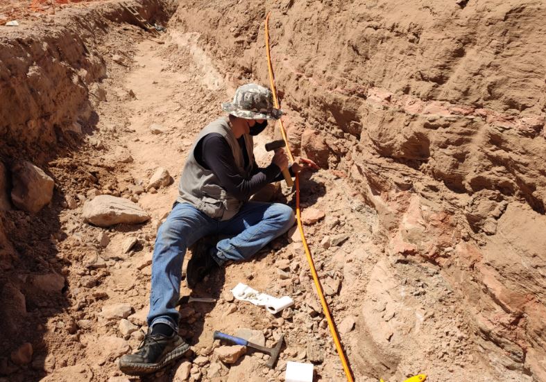 Obra em rodovia descobre fósseis de dinossauros de 90 milhões de anos -  Portal SCC