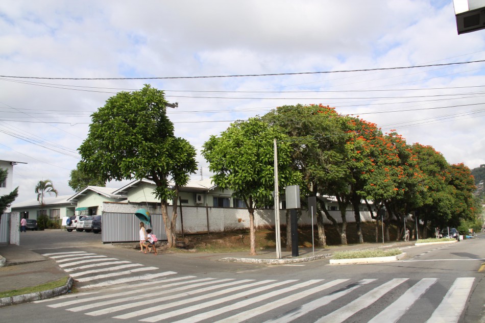 Foto: Marcelo Martins | Prefeitura de Blumenau | Divulgação