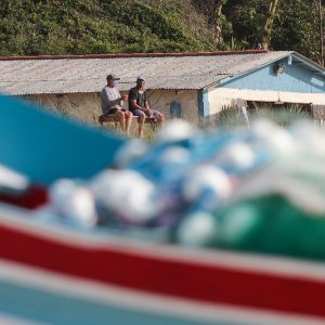 Movimento nos ranchos de pesca da Praia dos Ingleses em 2020. Foto: Cristiano Estrela / Secom