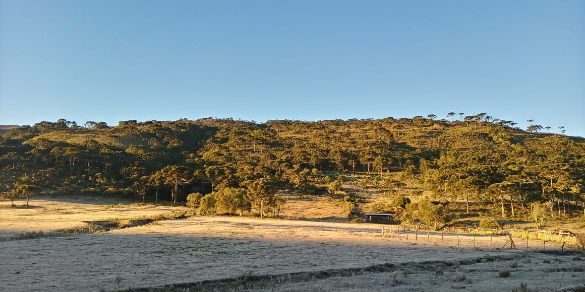 Serra Catarinense