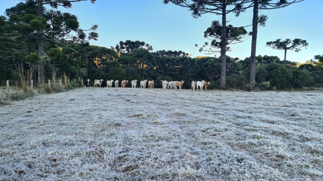 temperaturas negativas