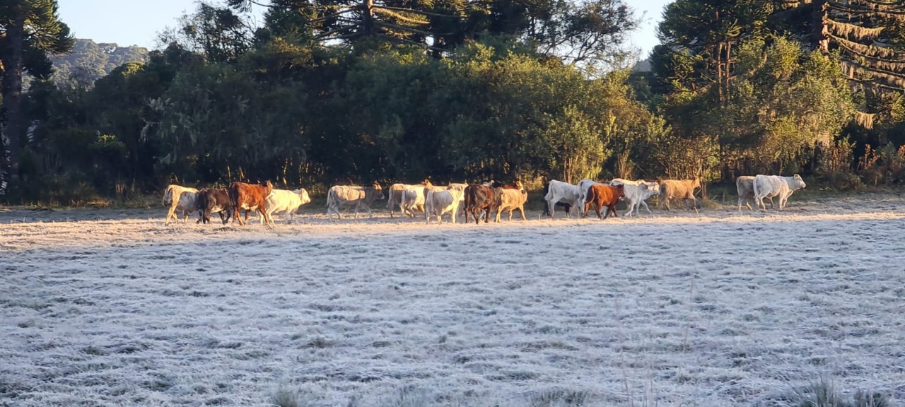 temperaturas negativas