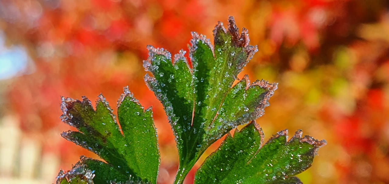 temperaturas negativas