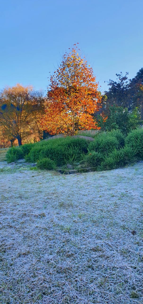 temperaturas negativas