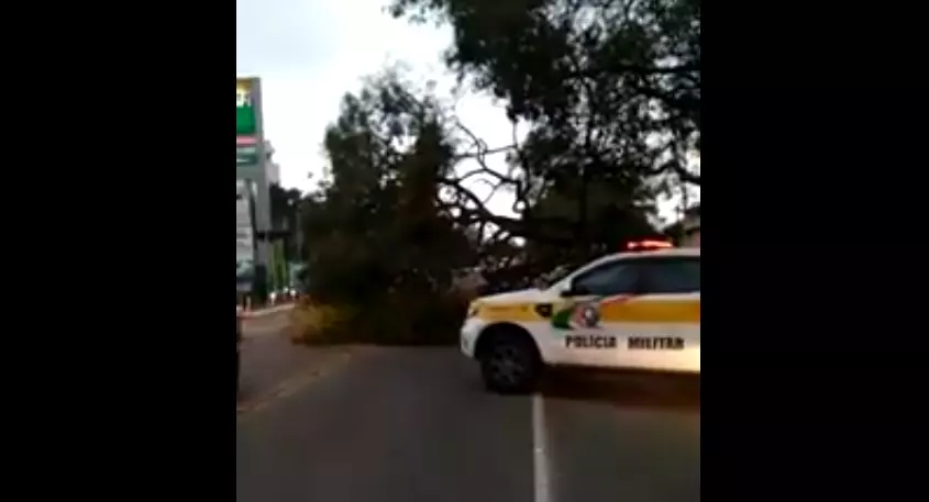 Foto: Vídeo PMRv / Reprodução