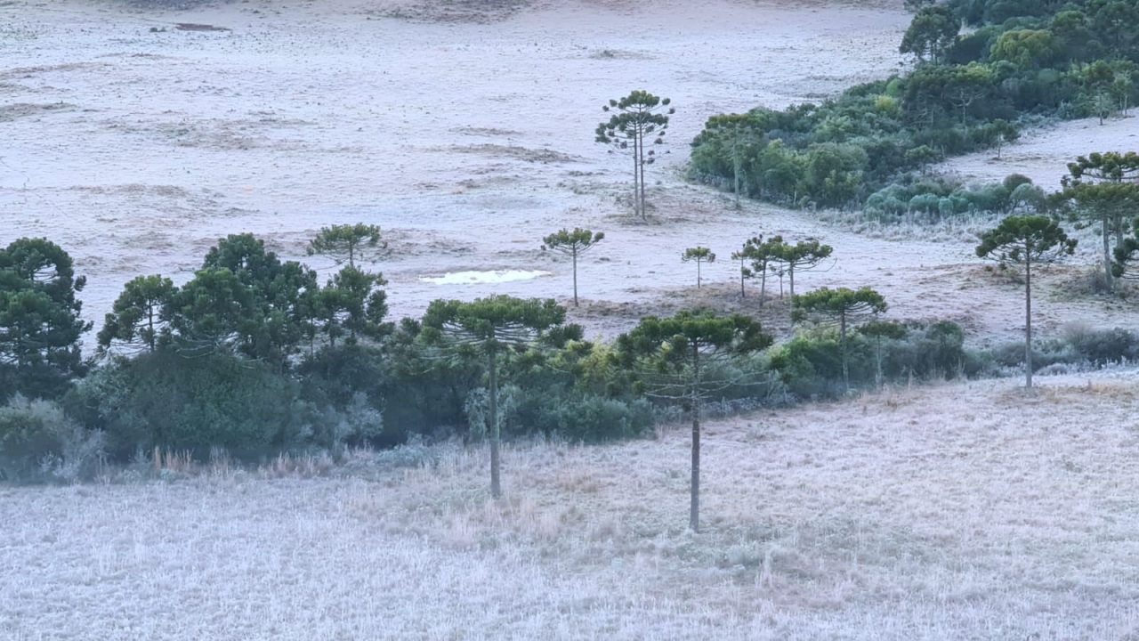 Amanhecer gelado: Serra Catarinense registra -5.9ºC