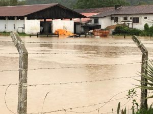 Camboriú em alerta para possíveis alagamentos e enchente