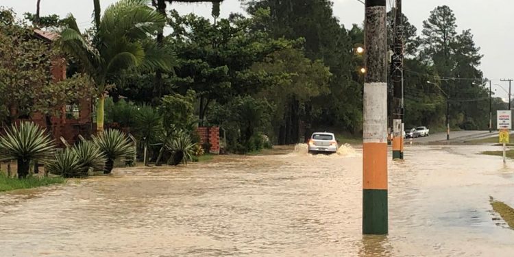 Foto: Prefeitura de Camboriú | Divulgação