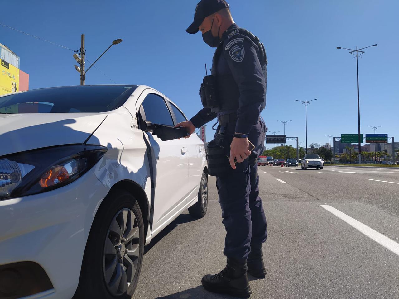 Foto: Guarda Municipal de Florianópolis / Divulgação