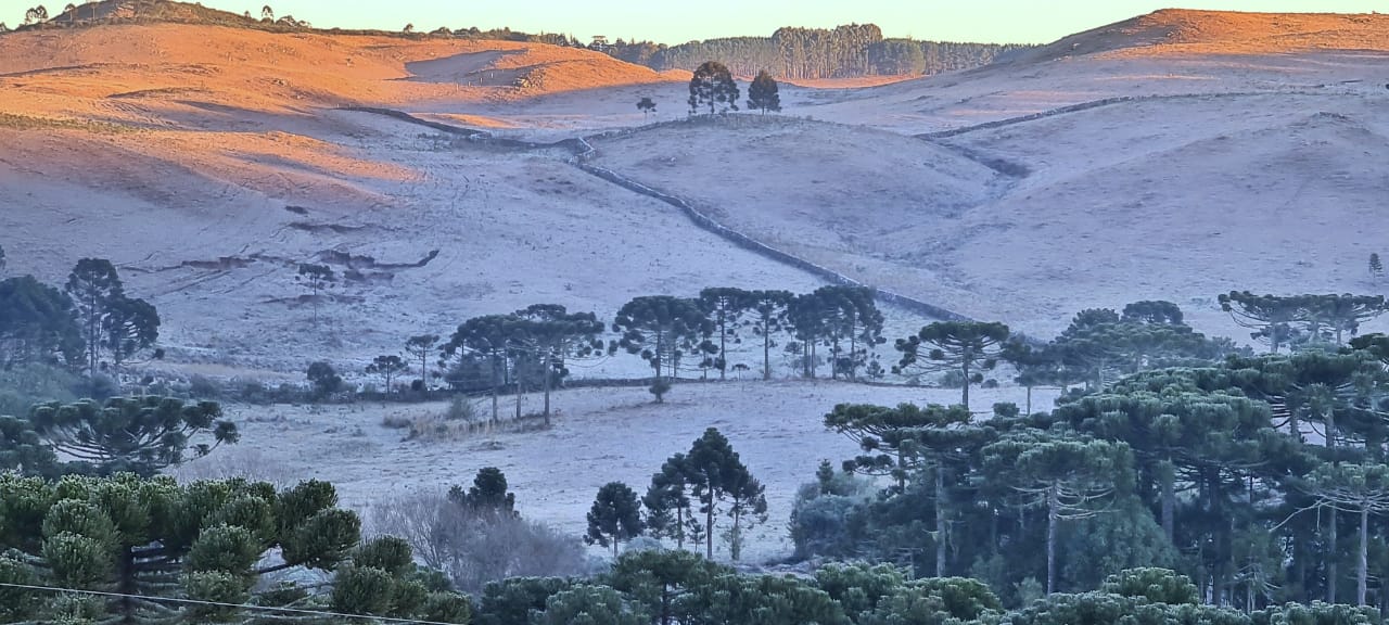 Com -10ºC, SC registra amanhecer mais congelante de 2021