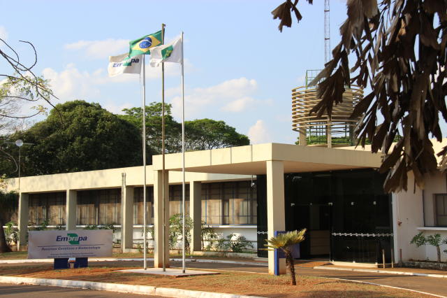 Foto: Embrapa/Divulgação