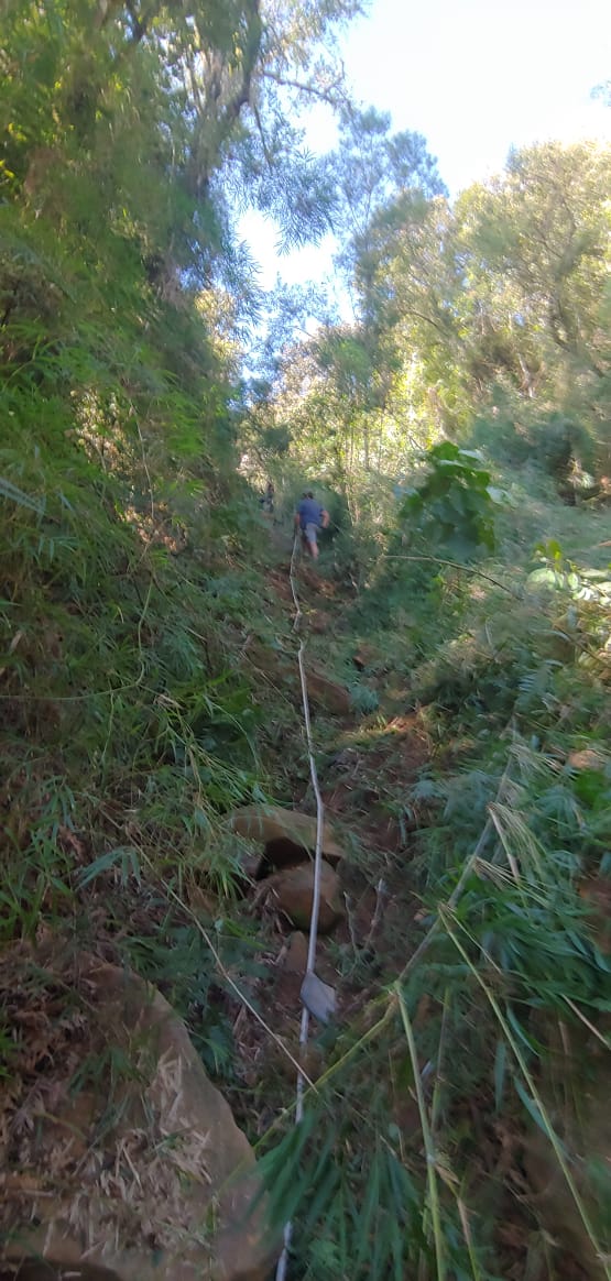 Carro com sete pessoas cai em ribanceira na Serra catarinenseCarro com sete pessoas cai em ribanceira na Serra catarinense