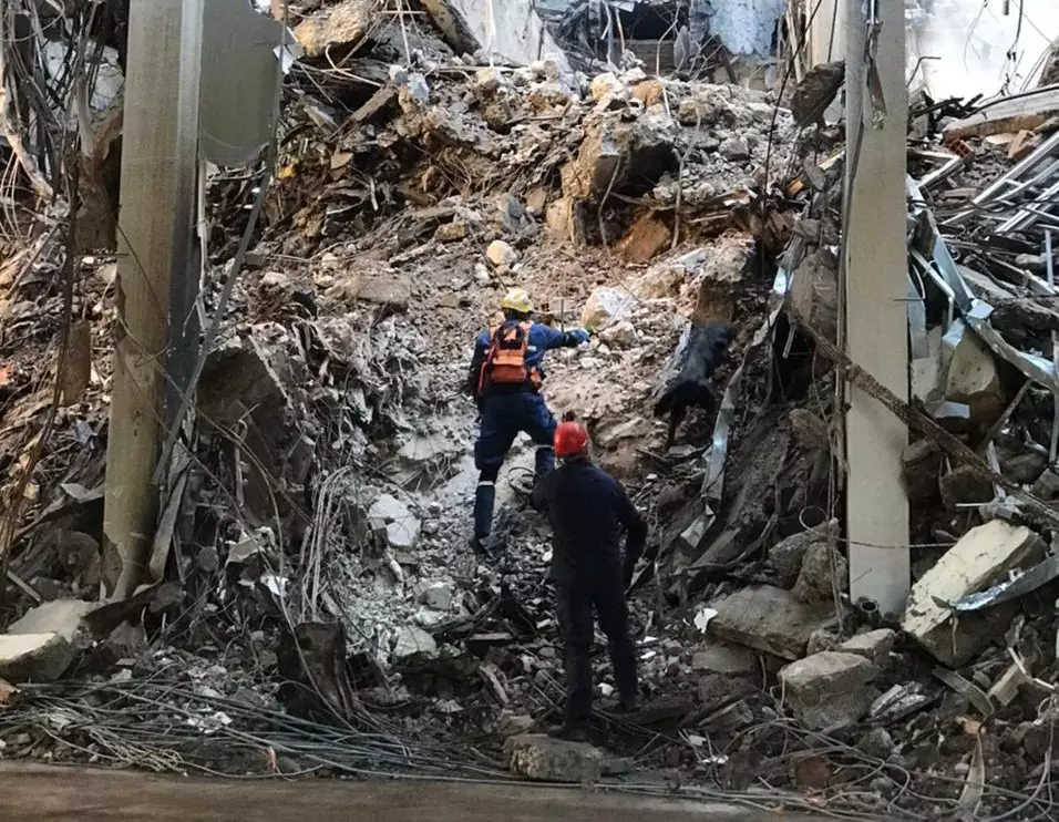 Cães dos Bombeiros de SC encontram corpos dos desaparecidos após incêndio no RS