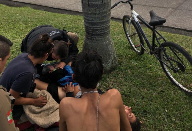 Foto: Polícia Militar Rodoviária | Divulgação