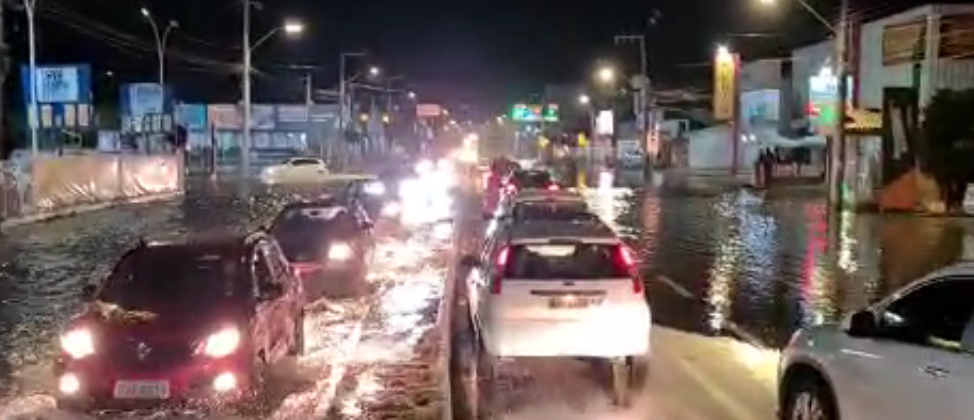 Foto: Guarda Municipal de Florianópolis / Divulgação