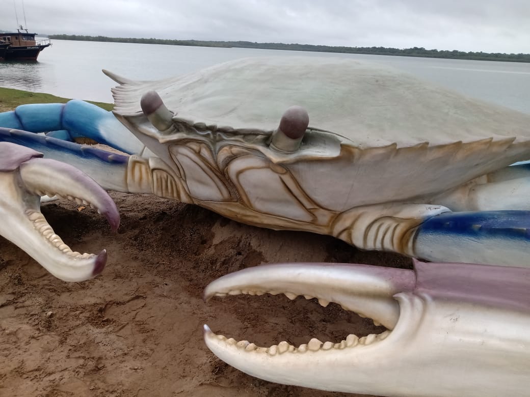 Após escultura de tainha, cidade de SC ganha Siri gigante