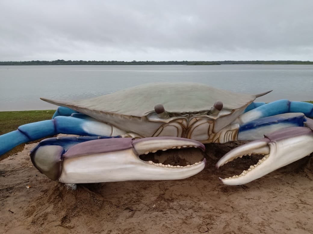 Após escultura de tainha, cidade de SC ganha Siri gigante