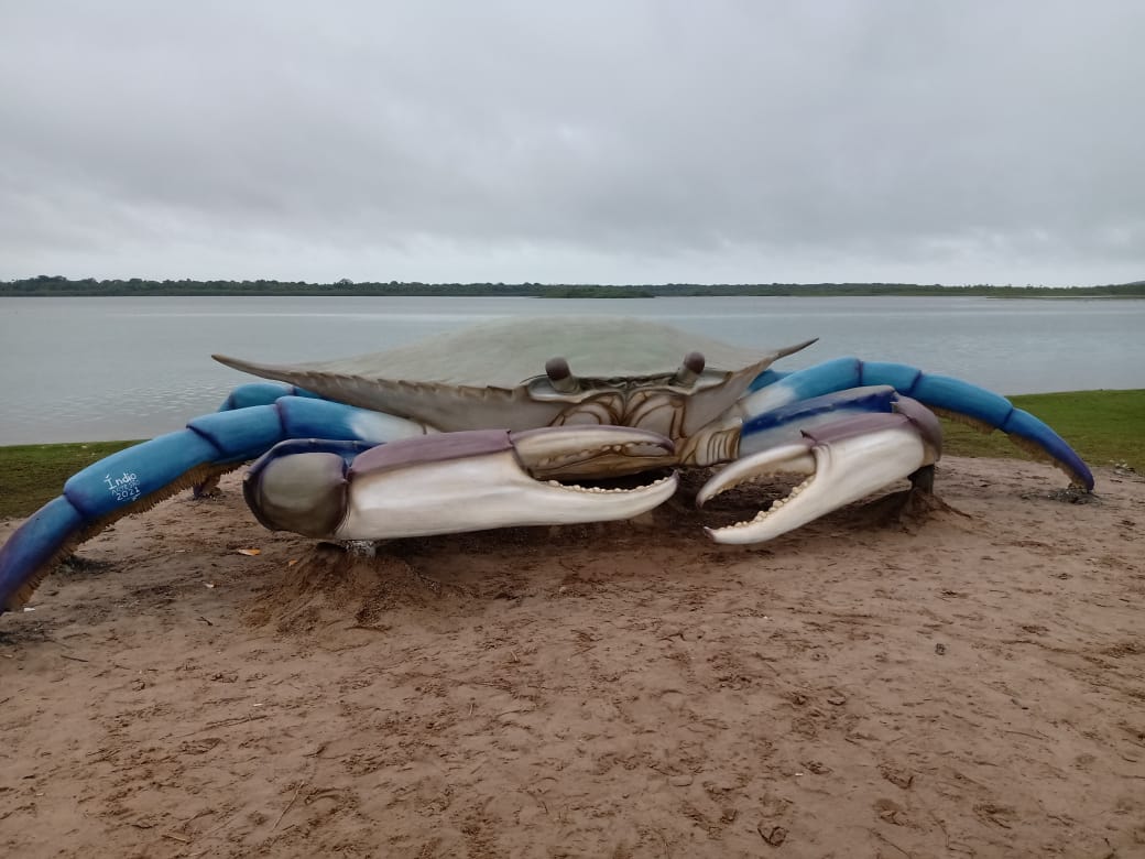 Após escultura de tainha, cidade de SC ganha Siri gigante