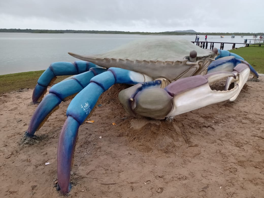 Após escultura de tainha, cidade de SC ganha Siri gigante