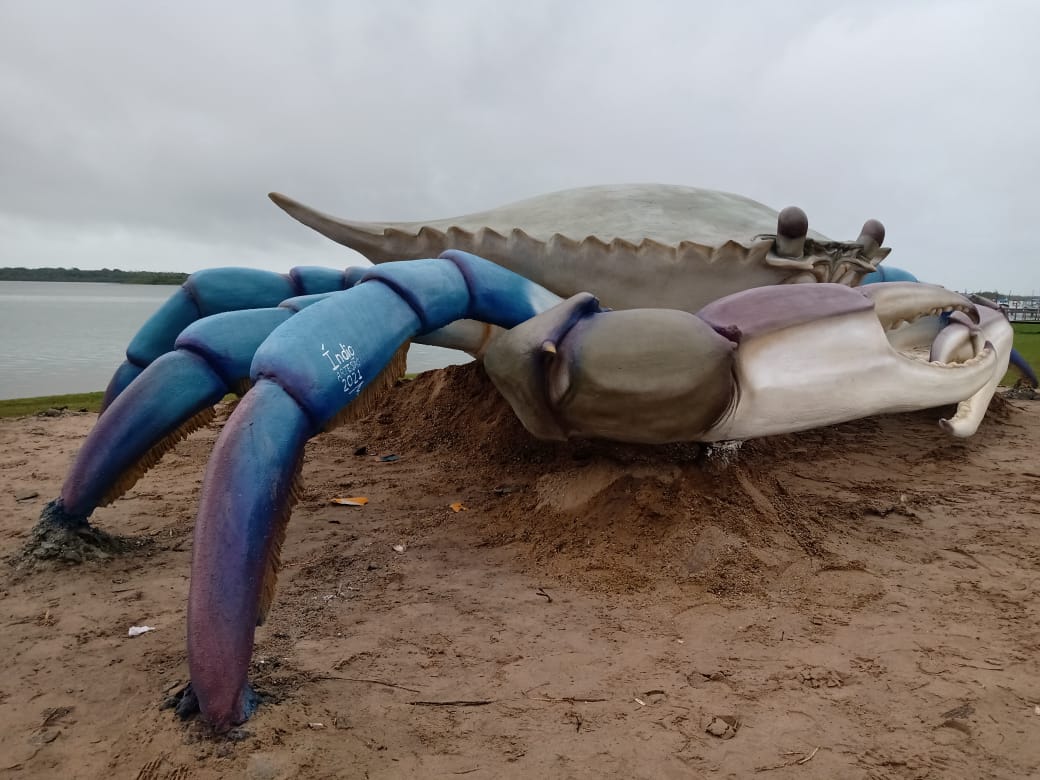 Após escultura de tainha, cidade de SC ganha Siri gigante