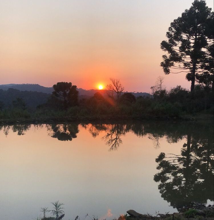 Foto: Adroaldo Ribeiro , Rádio Gralha