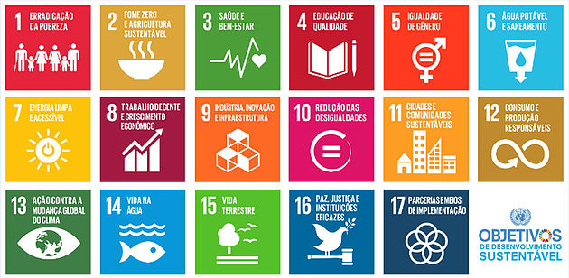 Objetivos da Agenda 2030 da ONU. Foto: Reprodução 