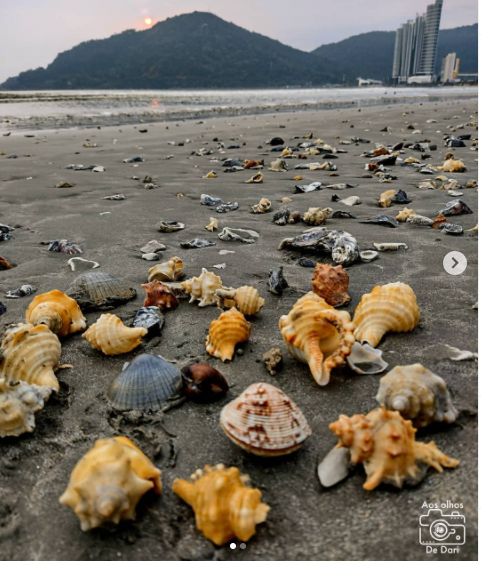 Foto: Dariane Peres, Reprodução Instagram
@aos_olhos_de_dari
