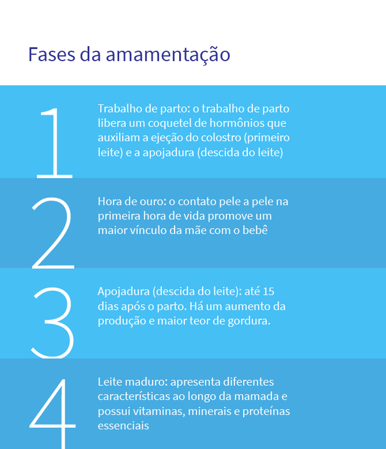 fases amamentação leite matergo agosto dourado