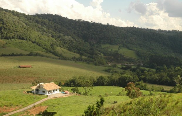 Foto: Aires Mariga / Epagri 

