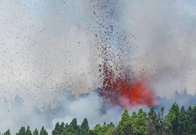 Foto: Divulgação. | Via: SBT News